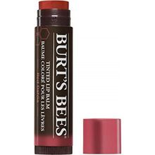 Burt's Bees Tinted Lip Balm 4,25 gr Red Dahlia - Dahlia Rouge Dudak Bakımı
