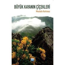 Büyük Kayanın Çiçekleri - Mustafa Korkmaz