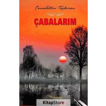 Çabalarım - Cemalettin Taşkıran