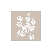 Cadence A4 AS-482 New Stencil Collection