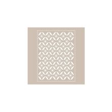 Cadence AS-493 21x30 A4 Stencıl