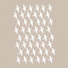 Cadence BN05 25x36 cm BN Serisi Stencil