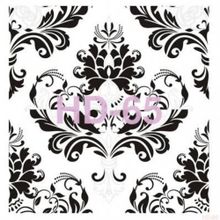 Cadence Home Decor HD-65 Stencil 45x45 cm Boyama Şablonu