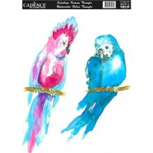 Cadence KTSB 005