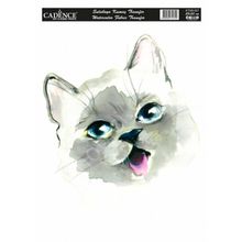 Cadence Ktsb 007 Suluboya Kumaş Transfer