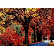 Caka Tablo Ağaçlı Yol ve Sonbahar Yaprakları 1000 Parça Puzzle