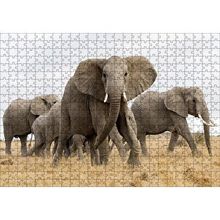 Cakapuzzle Afrika Safarisinde Filler 120 Parça Ahşap Puzzle