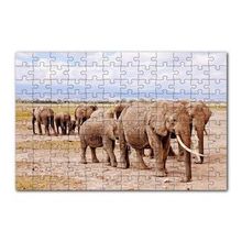 Cakapuzzle Afrika Savanada Filler Bir Arada 120 Parça Ahşap Puzzle