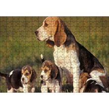 Cakapuzzle Anne Beagle ve Sevimli Yavruları 120 Parça Ahşap Puzzle