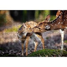 Cakapuzzle Anne Karaca ve Yavrusu 120 Parça Ahşap Puzzle