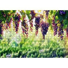 Cakapuzzle Asma Üzümü Kırmızı Üzüm Görseli 120 Parça Ahşap Puzzle