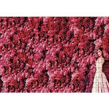Cakapuzzle Audrey Hepburn Kırmızı Çiçekler Önünde Puzzle