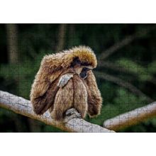 Cakapuzzle Bambu Üzerinde Dinlenen Gibbon Maymunu 120 Parça Ahşap Puzzle