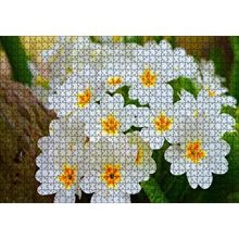 Cakapuzzle Bayaz Çuha Çiçeği Görseli 120 Parça Ahşap Puzzle