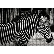 Cakapuzzle Benzersiz Deseniyle Zebra Yakın Çekim 120 Parça Ahşap Puzzle