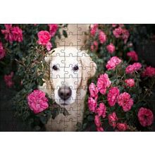 Cakapuzzle Beyaz Golden Retriever Çiçekler Arasında 120 Parça Ahşap Puzzle