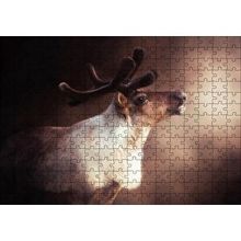 Cakapuzzle Beyaz Kahve Rengi Geyik Görseli 120 Parça Ahşap Puzzle