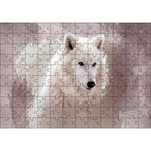 Cakapuzzle Beyaz Kurt Puslu Zemin Görseli 120 Parça Ahşap Puzzle