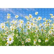 Cakapuzzle Beyaz Papatyalar ve Mavi Gökyüzü 120 Parça Ahşap Puzzle