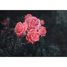 Cakapuzzle Bir Arada Pembe Güller 120 Parça Ahşap Puzzle