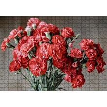 Cakapuzzle Bir Demet Kırmızı Yabani Karanfil 120 Parça Ahşap Puzzle