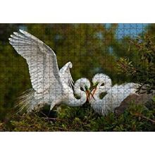 Cakapuzzle Birbirine Kur Yapan Ak Balıkçıl Kuşları 120 Parça Ahşap Puzzle