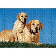 Cakapuzzle Çayırda Anne Labrador ve Yavrusu 120 Parça Ahşap Puzzle
