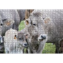 Cakapuzzle Çayırda Gri İnekler ve Sevimli Buzağı 120 Parça Ahşap Puzzle