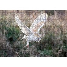 Cakapuzzle Çayırda Konmaya Hazırlanan Beyaz Baykuş 120 Parça Ahşap Puzzle