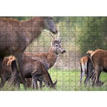 Cakapuzzle Çayırda Otlayan Geyikler 120 Parça Ahşap Puzzle
