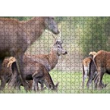 Cakapuzzle Çayırda Otlayan Ren Geyikleri 120 Parça Ahşap Puzzle