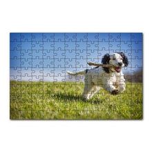 Cakapuzzle Çayırda Oyun Oynayan Sevimli Köpek 120 Parça Ahşap Puzzle