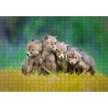 Cakapuzzle Çayırda Sevimli Tilki Yavruları 120 Parça Ahşap Puzzle