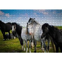 Cakapuzzle Çayırda Siyah ve Beyaz Atlar 120 Parça Ahşap Puzzle