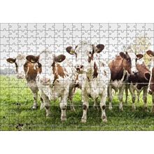 Cakapuzzle Çayırda Tel Örgünün Kenarında İnekler 120 Parça Ahşap Puzzle