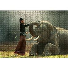 Cakapuzzle Çayırdaki Fil ve Onu Seven Kız 120 Parça Ahşap Puzzle