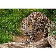Cakapuzzle Çayırdaki Leopar Pusuda 120 Parça Ahşap Puzzle