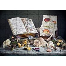 Cakapuzzle Çeşitli Mantarlar ve Mantarlara Dair Kitaplar 120 Parça Ahşap Puzzle