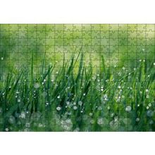 Cakapuzzle Çimenler ve Su Damlaları 120 Parça Ahşap Puzzle