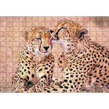 Cakapuzzle Çita Ailesi Temizleniyor 120 Parça Ahşap Puzzle