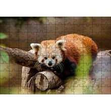 Cakapuzzle Dalda Dinlenen Kızıl Panda 120 Parça Ahşap Puzzle