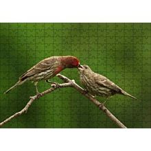 Cakapuzzle Dalda Dişisini Besleyen Saka Kuşu 120 Parça Ahşap Puzzle