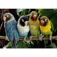 Cakapuzzle Dalda Sevda Papağanları 120 Parça Ahşap Puzzle