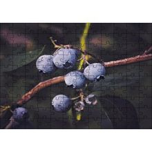 Cakapuzzle Dalda Yabanmersini Meyveleri 120 Parça Ahşap Puzzle