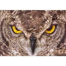 Cakapuzzle Daldaki Kartal Baykuşu ve Muhteşem Tüyleri Puzzle
