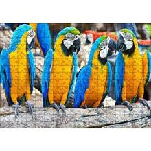 Cakapuzzle Daldaki Sarı Mavi Macaw Papağanları 120 Parça Ahşap Puzzle