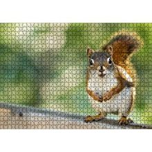 Cakapuzzle Daldaki Sevimli Küçük Sincap 120 Parça Ahşap Puzzle