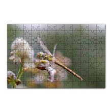 Cakapuzzle Daldaki Yusufçuk Yakın Çekim 120 Parça Ahşap Puzzle