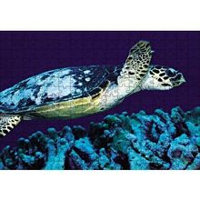 Cakapuzzle Deniz Dibinde Kaplumbağası 120 Parça Ahşap Puzzle
