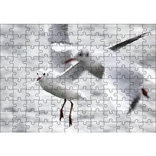 Cakapuzzle Deniz ve Martılar Puzzle